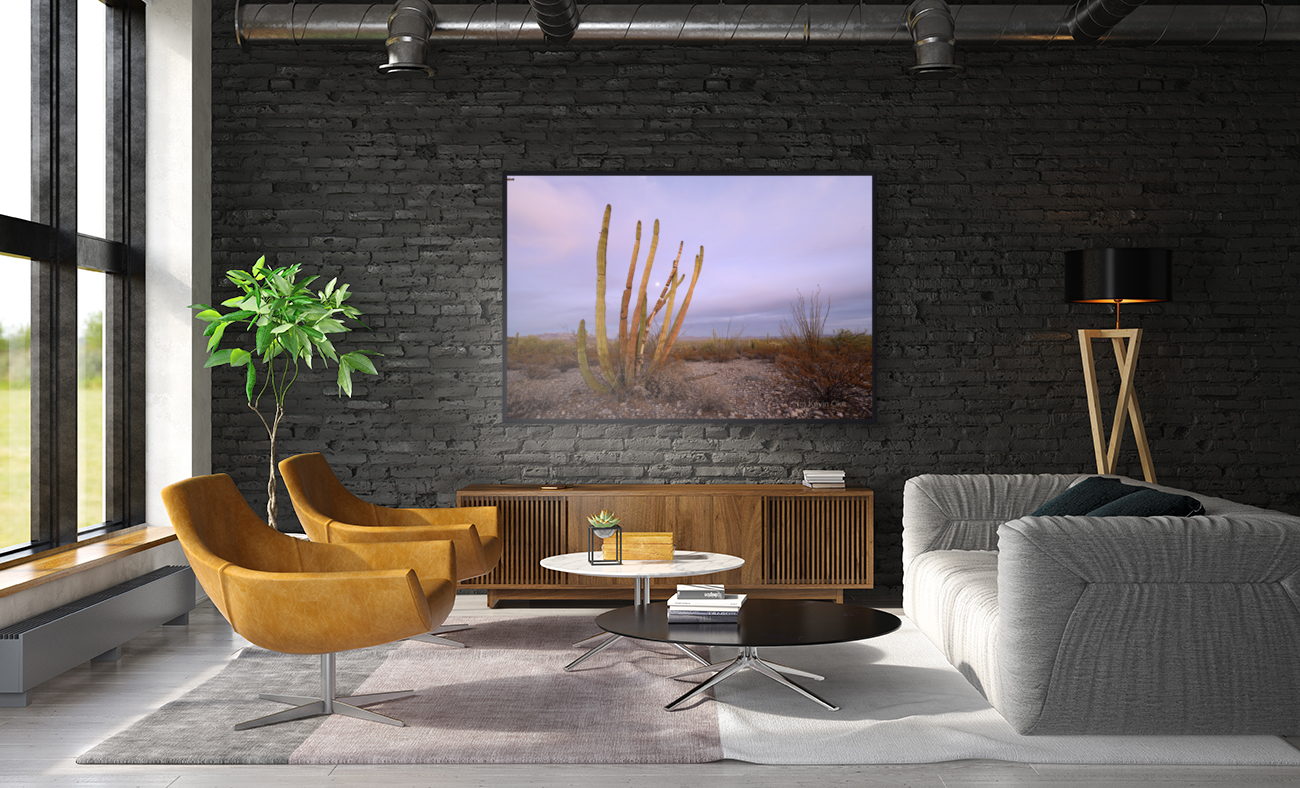 Organ Pipe Cactus Art