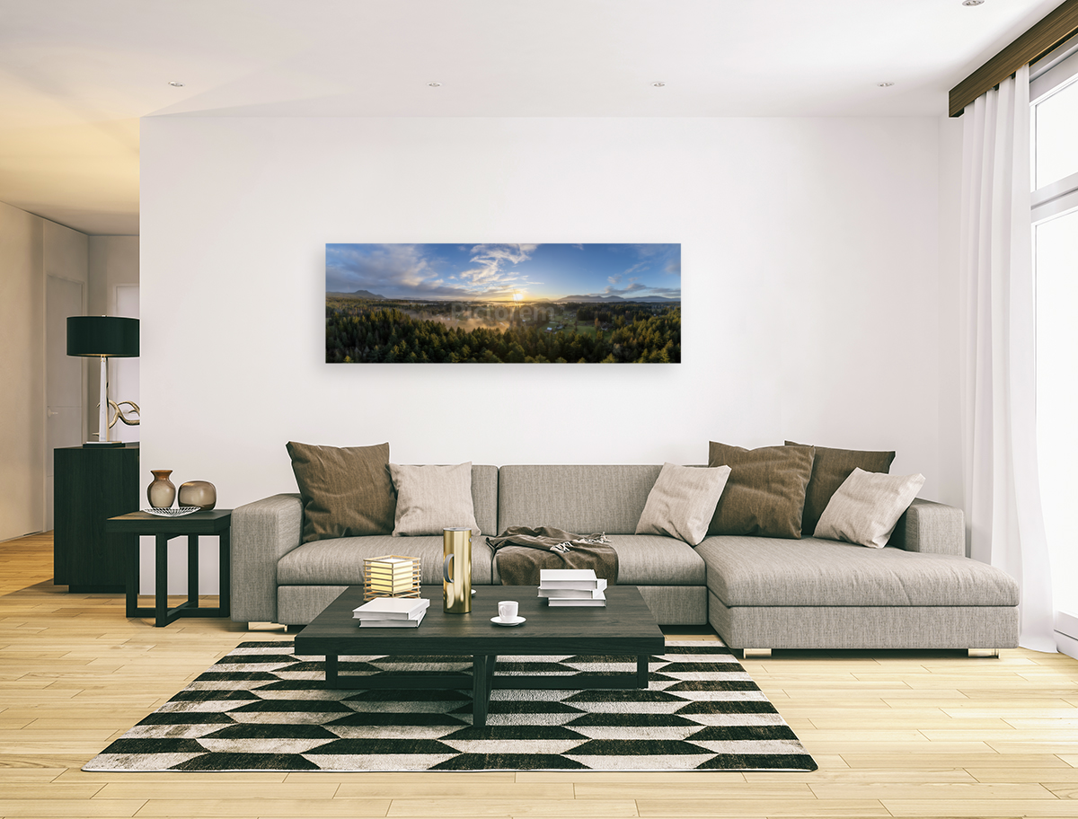 Cowichan Valley Rays Art