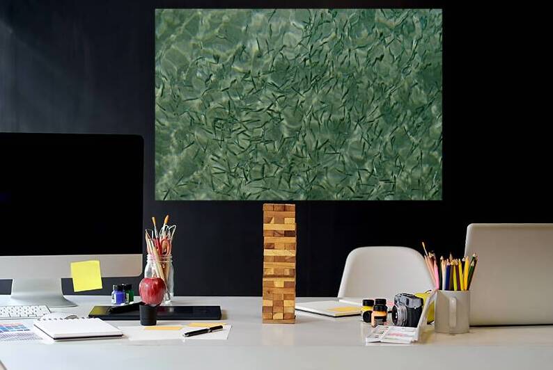 Small reef fish by Kevin Oke