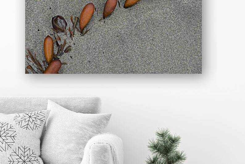 Seaweed floats - Florencia Beach by Kevin Oke