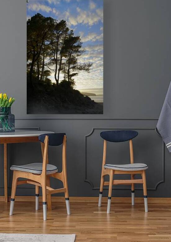 Gnarled trees at sunset by Kevin Oke