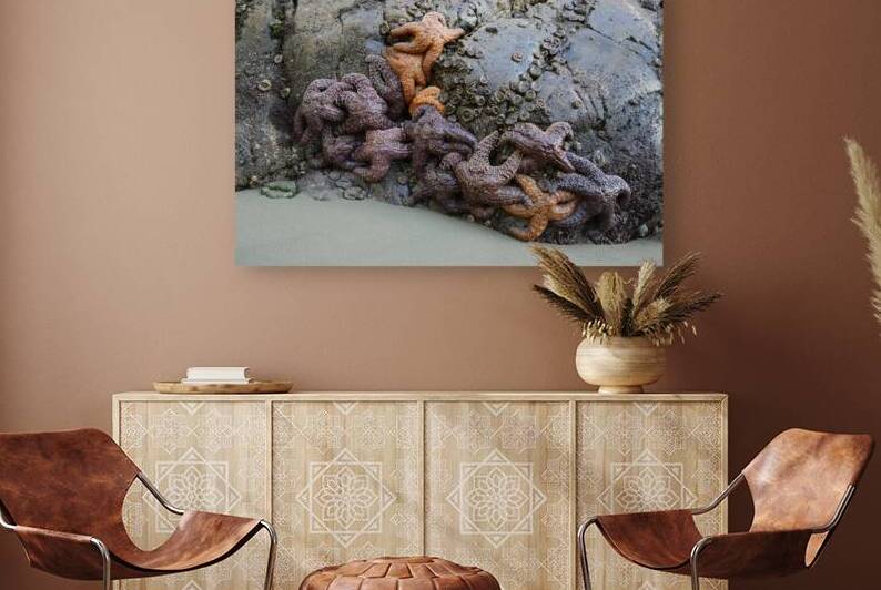 Sea stars on the rocks at Tonquin Beach by Kevin Oke
