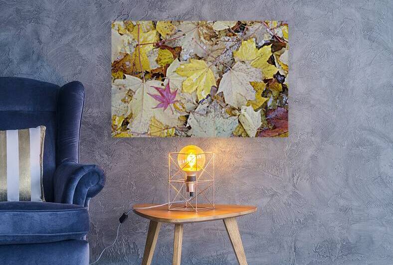 KO A04679 1 by Kevin Oke