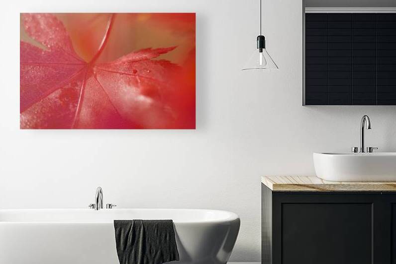 KO 50411 1 by Kevin Oke