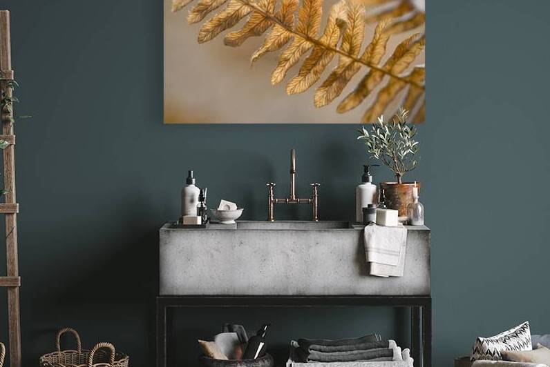 KO 50457 1 by Kevin Oke