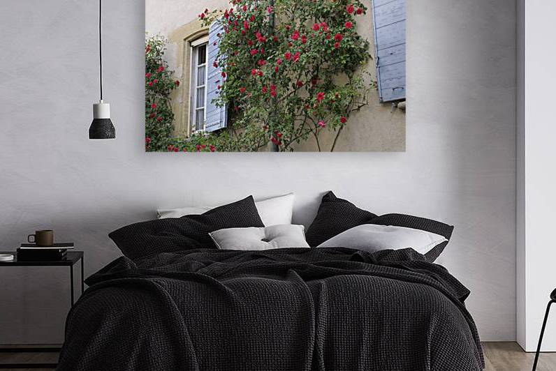 Roses climbing a wall Lourmarin by Kevin Oke