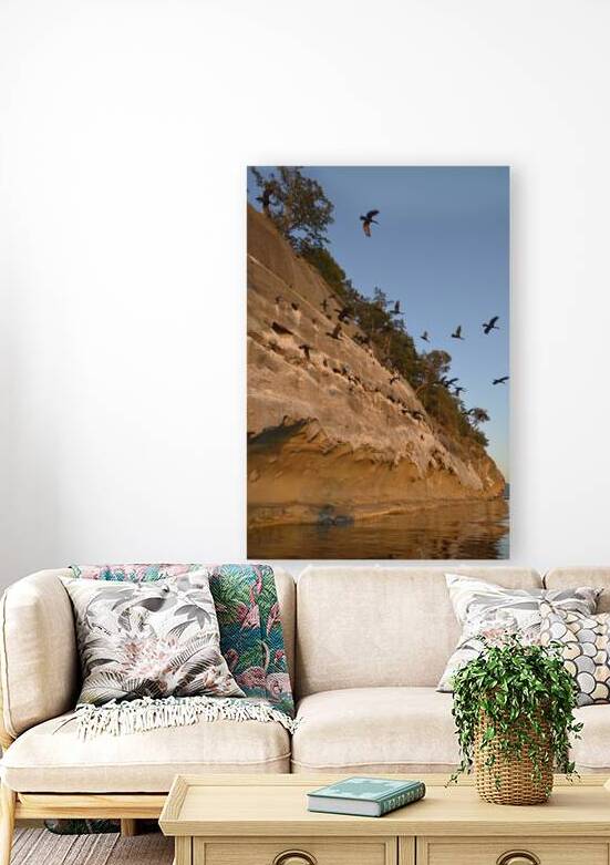 CORMORANTS FLYING ABOVE SCULPTED SANDSTONE CLIFFS by Kevin Oke