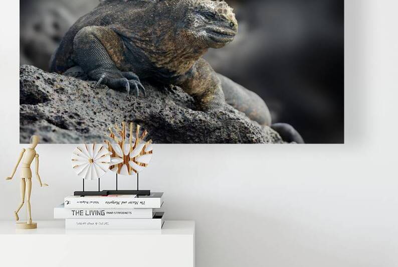 KO EC 9612 by Kevin Oke