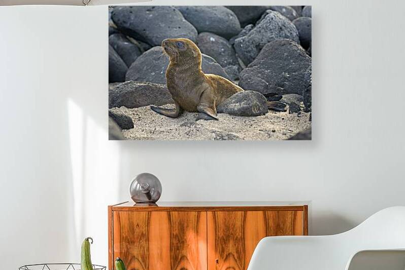 KO EC 14065 by Kevin Oke