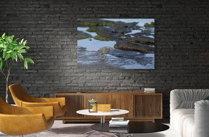 KO EC 13303a by Kevin Oke