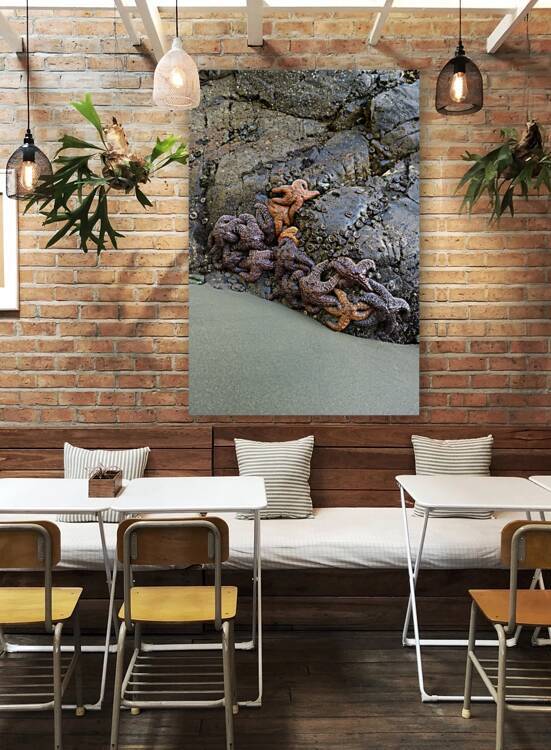 Sea stars on the rocks at Tonquin Beach Tofino by Kevin Oke