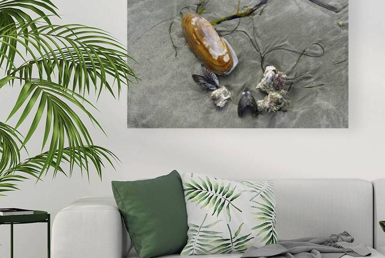 Chesterman Beach Vancouver Island British Columbia by Kevin Oke