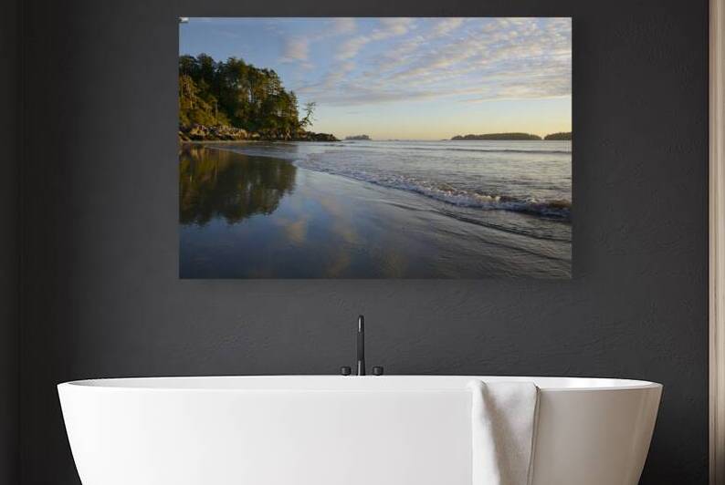 KO B12619 by Kevin Oke