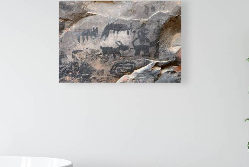 Black petroglyphs of animals Palatki Ruins Arizona USA by Kevin Oke