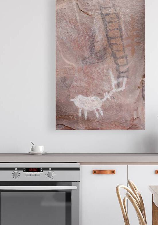 Petroglyphs in Valley of Fire State Park Nevada USA by Kevin Oke