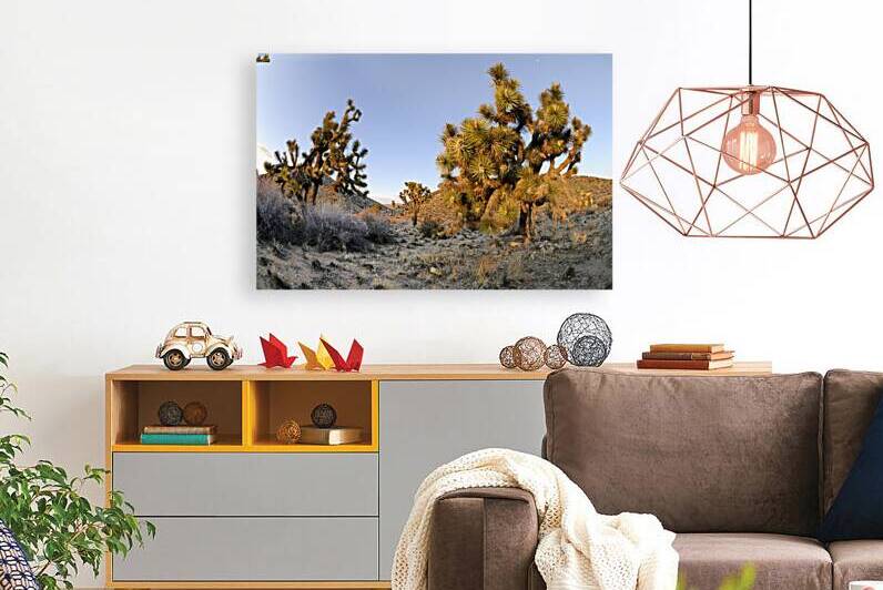 KO A11560 by Kevin Oke