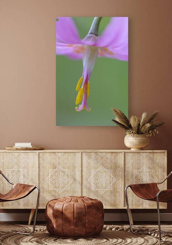 KO A18015 by Kevin Oke