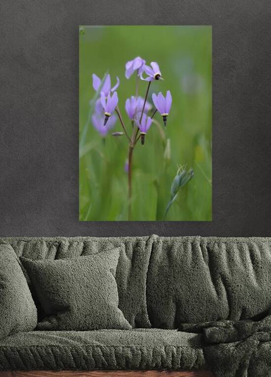 KO A18316 by Kevin Oke