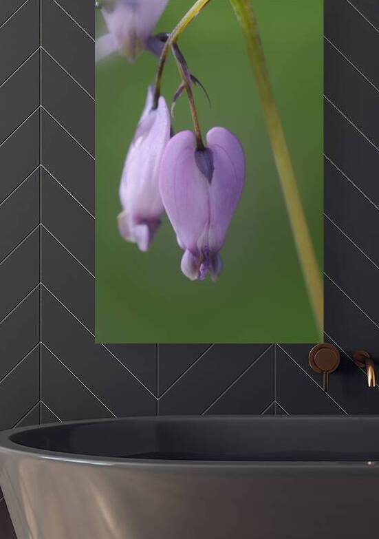 KO A48939 by Kevin Oke