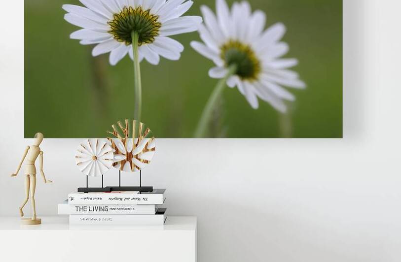 Farm in the Cowichan Valley Vancouver Island British Columbia Canada. by Kevin Oke