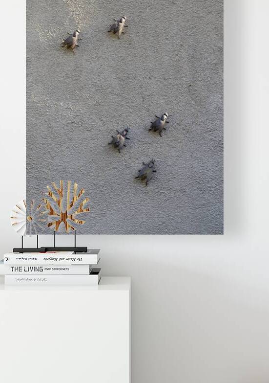 Metal fly sculpture on a house wall Tannay Nièvre Burgundy France by Kevin Oke