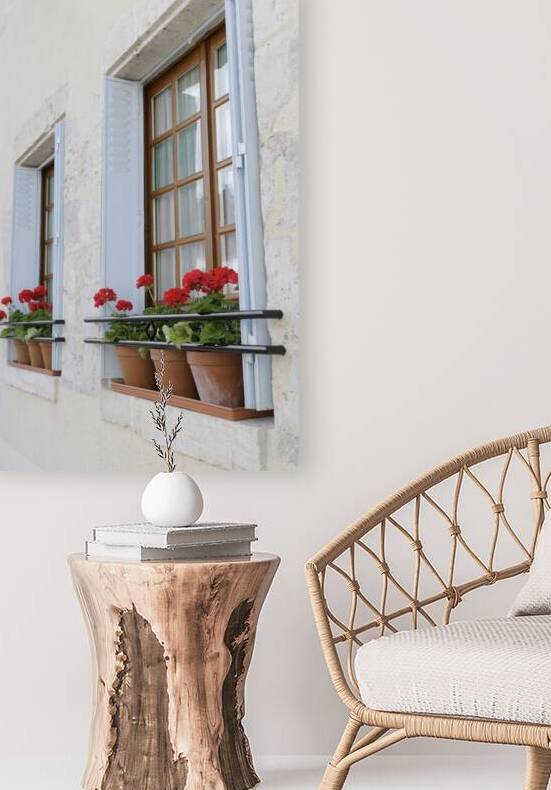 Potted red geraniums in a window Châtillon sur Loire Centre France by Kevin Oke
