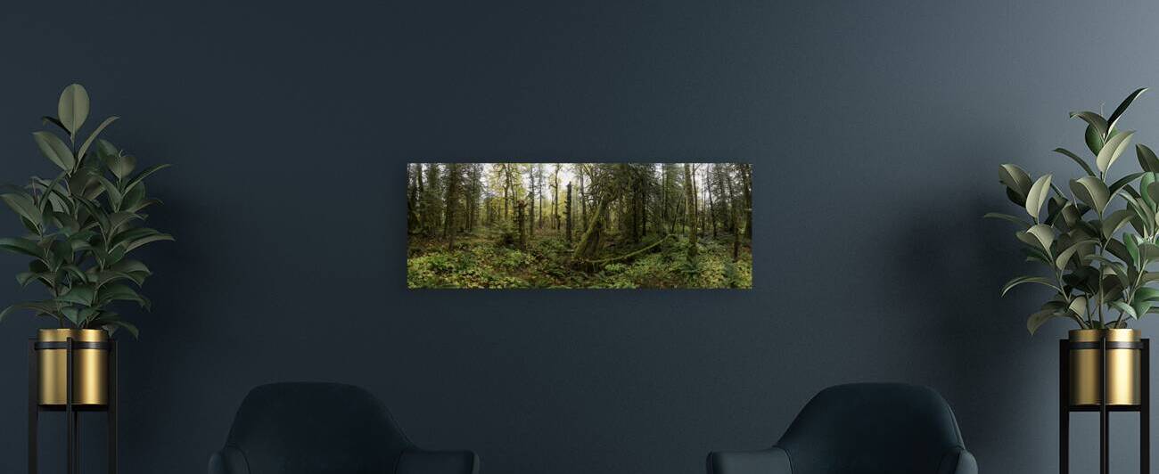 Lush Forest by Kevin Oke